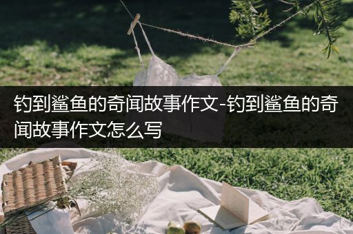 钓到鲨鱼的奇闻故事作文-钓到鲨鱼的奇闻故事作文怎么写