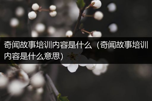 奇闻故事培训内容是什么（奇闻故事培训内容是什么意思）