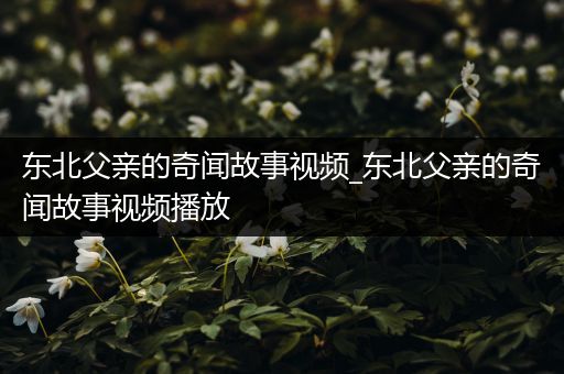 东北父亲的奇闻故事视频_东北父亲的奇闻故事视频播放