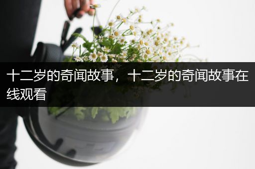 十二岁的奇闻故事，十二岁的奇闻故事在线观看