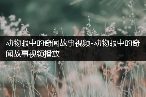 动物眼中的奇闻故事视频-动物眼中的奇闻故事视频播放