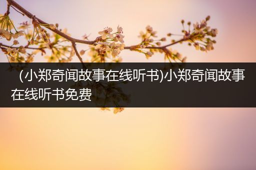 （小郑奇闻故事在线听书)小郑奇闻故事在线听书免费