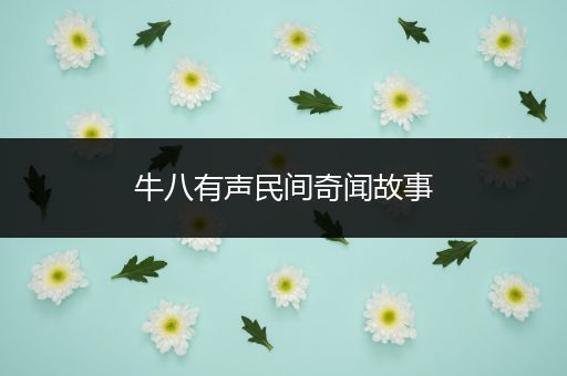 牛八有声民间奇闻故事