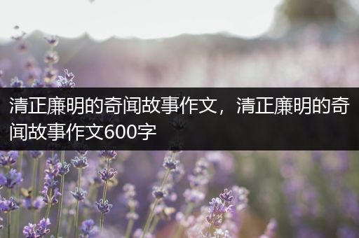 清正廉明的奇闻故事作文，清正廉明的奇闻故事作文600字