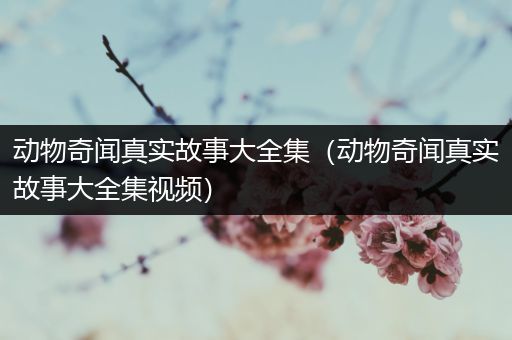 动物奇闻真实故事大全集（动物奇闻真实故事大全集视频）