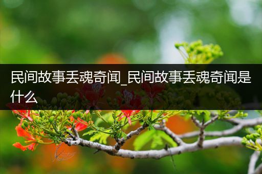 民间故事丢魂奇闻_民间故事丢魂奇闻是什么