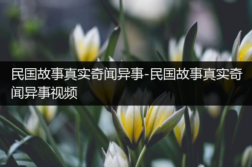 民国故事真实奇闻异事-民国故事真实奇闻异事视频