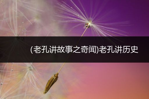 （老孔讲故事之奇闻)老孔讲历史