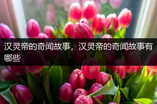 汉灵帝的奇闻故事，汉灵帝的奇闻故事有哪些