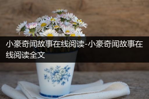 小豪奇闻故事在线阅读-小豪奇闻故事在线阅读全文