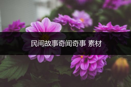 民间故事奇闻奇事 素材