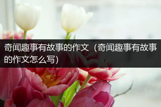 奇闻趣事有故事的作文（奇闻趣事有故事的作文怎么写）