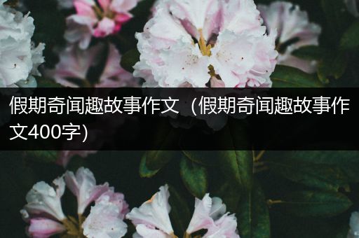 假期奇闻趣故事作文（假期奇闻趣故事作文400字）