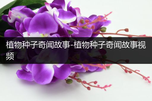 植物种子奇闻故事-植物种子奇闻故事视频