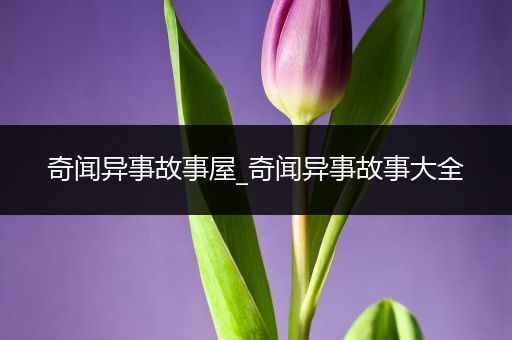 奇闻异事故事屋_奇闻异事故事大全