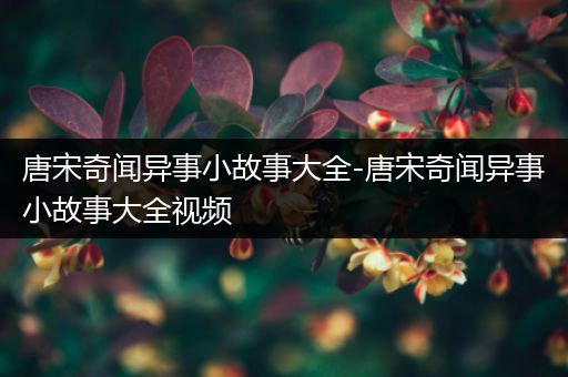 唐宋奇闻异事小故事大全-唐宋奇闻异事小故事大全视频