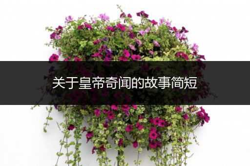 关于皇帝奇闻的故事简短