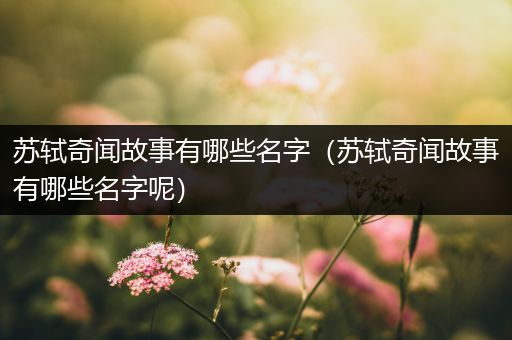 苏轼奇闻故事有哪些名字（苏轼奇闻故事有哪些名字呢）