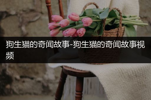 狗生猫的奇闻故事-狗生猫的奇闻故事视频
