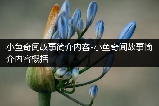 小鱼奇闻故事简介内容-小鱼奇闻故事简介内容概括