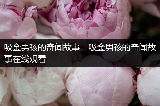 吸金男孩的奇闻故事，吸金男孩的奇闻故事在线观看