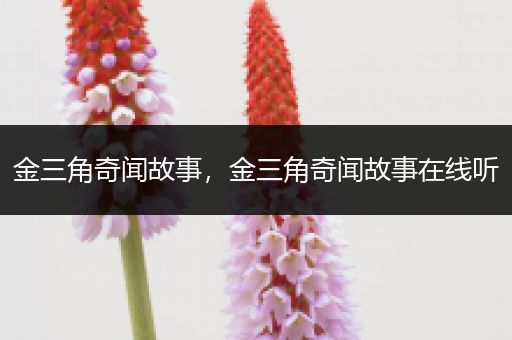 金三角奇闻故事，金三角奇闻故事在线听