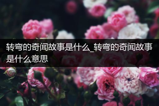 转弯的奇闻故事是什么_转弯的奇闻故事是什么意思