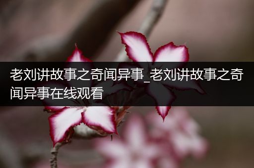 老刘讲故事之奇闻异事_老刘讲故事之奇闻异事在线观看