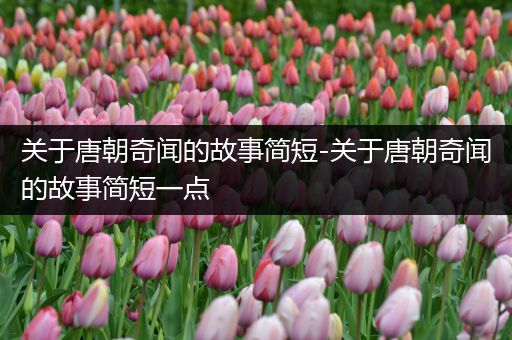 关于唐朝奇闻的故事简短-关于唐朝奇闻的故事简短一点