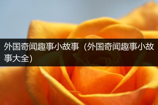 外国奇闻趣事小故事（外国奇闻趣事小故事大全）