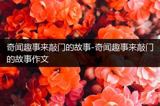 奇闻趣事来敲门的故事-奇闻趣事来敲门的故事作文