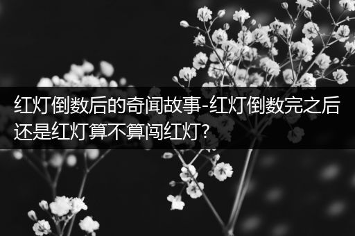 红灯倒数后的奇闻故事-红灯倒数完之后还是红灯算不算闯红灯?