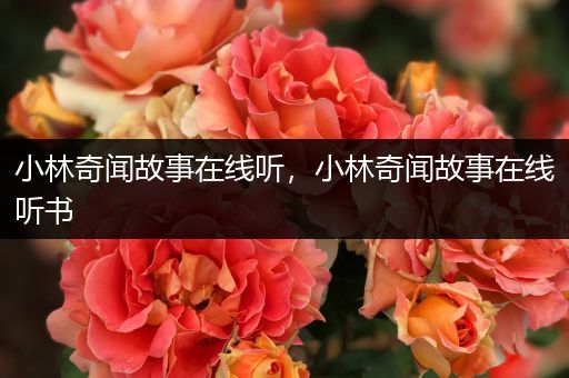 小林奇闻故事在线听，小林奇闻故事在线听书