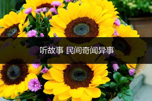 听故事 民间奇闻异事