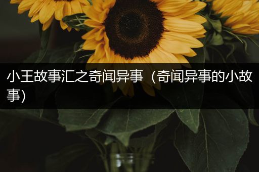 小王故事汇之奇闻异事（奇闻异事的小故事）