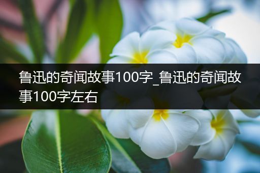 鲁迅的奇闻故事100字_鲁迅的奇闻故事100字左右