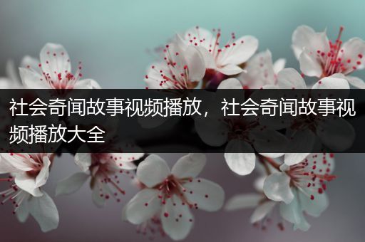 社会奇闻故事视频播放，社会奇闻故事视频播放大全