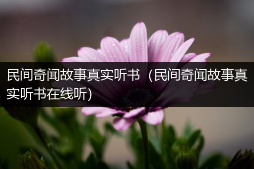 民间奇闻故事真实听书（民间奇闻故事真实听书在线听）