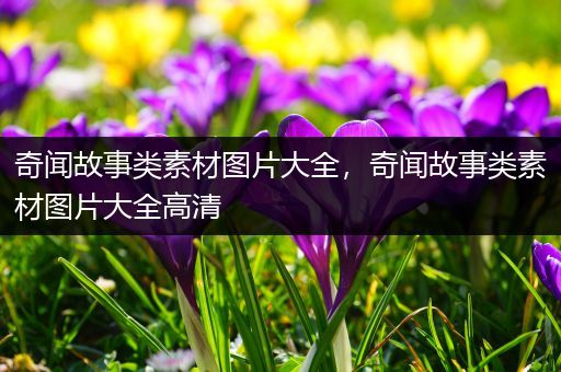 奇闻故事类素材图片大全，奇闻故事类素材图片大全高清