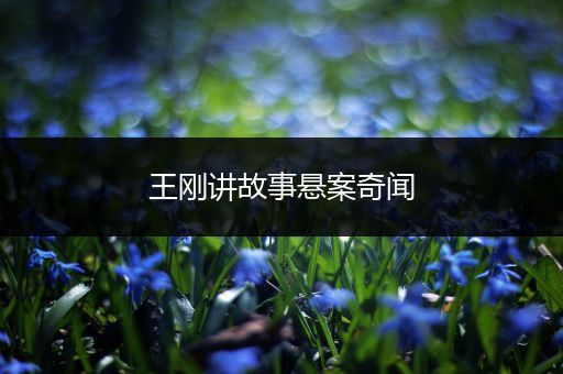 王刚讲故事悬案奇闻