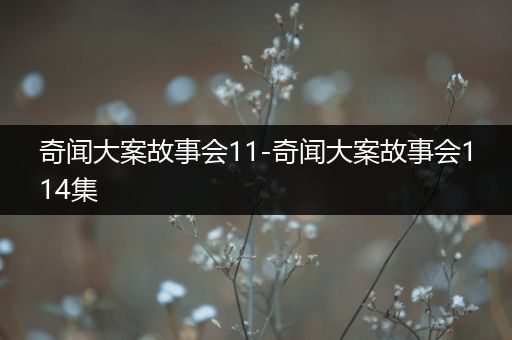 奇闻大案故事会11-奇闻大案故事会114集