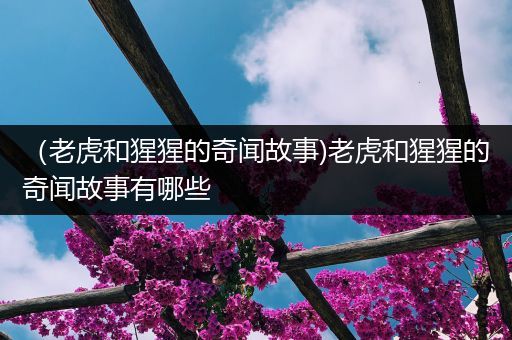 （老虎和猩猩的奇闻故事)老虎和猩猩的奇闻故事有哪些