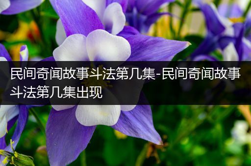 民间奇闻故事斗法第几集-民间奇闻故事斗法第几集出现