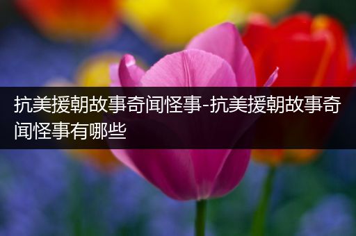 抗美援朝故事奇闻怪事-抗美援朝故事奇闻怪事有哪些