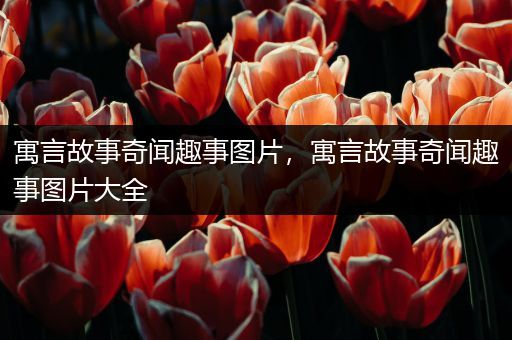 寓言故事奇闻趣事图片，寓言故事奇闻趣事图片大全