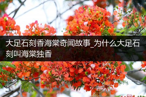 大足石刻香海棠奇闻故事_为什么大足石刻叫海棠独香