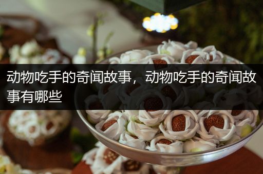 动物吃手的奇闻故事，动物吃手的奇闻故事有哪些