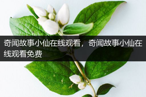 奇闻故事小仙在线观看，奇闻故事小仙在线观看免费