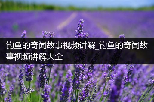 钓鱼的奇闻故事视频讲解_钓鱼的奇闻故事视频讲解大全