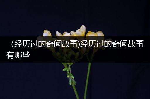（经历过的奇闻故事)经历过的奇闻故事有哪些